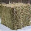 Crau 1st Cut Hay bales for sale