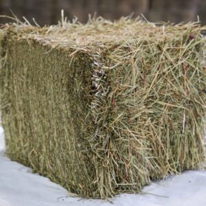 Crau 1st Cut Hay bales for sale