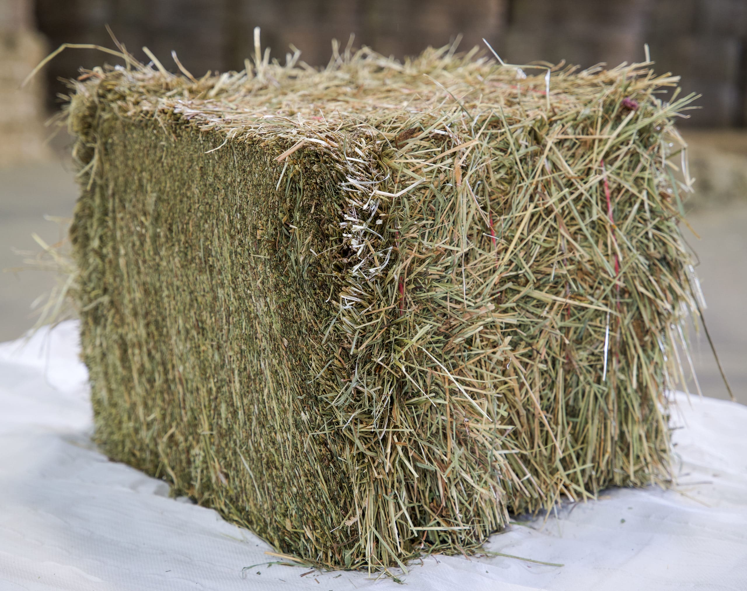 Crau 1st Cut Hay bales for sale