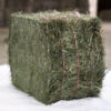 Foin de Loinchamp Hay bales for sale