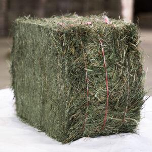 Foin de Loinchamp Hay bales for sale
