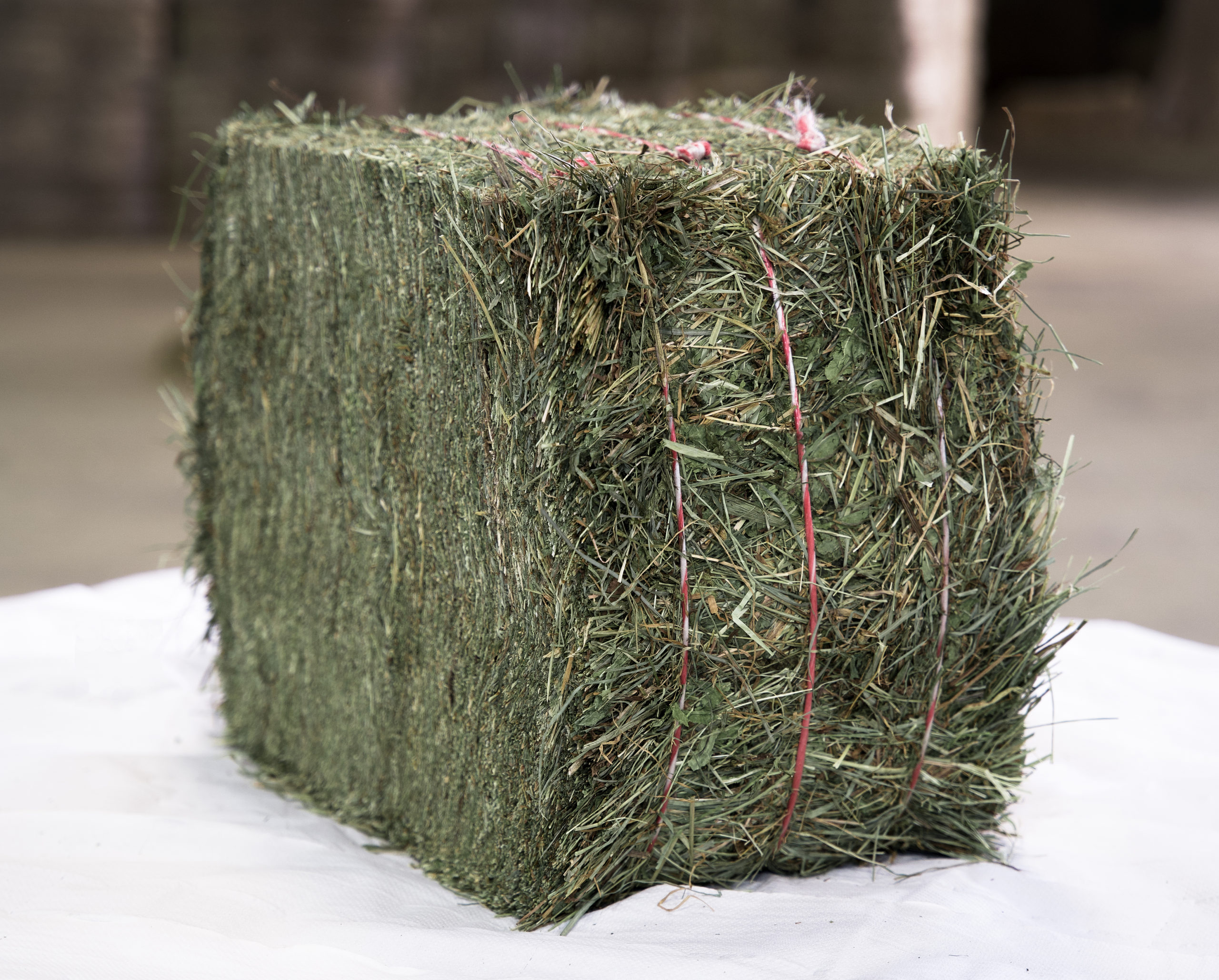 Foin de Loinchamp Hay bales for sale