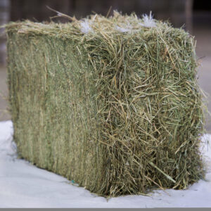 Highland Hay bales for sale