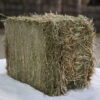 Meadow Hay bales for sale