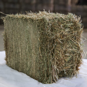 Meadow Hay bales for sale