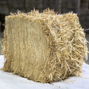 Wheat Straw Hay bales for sale
