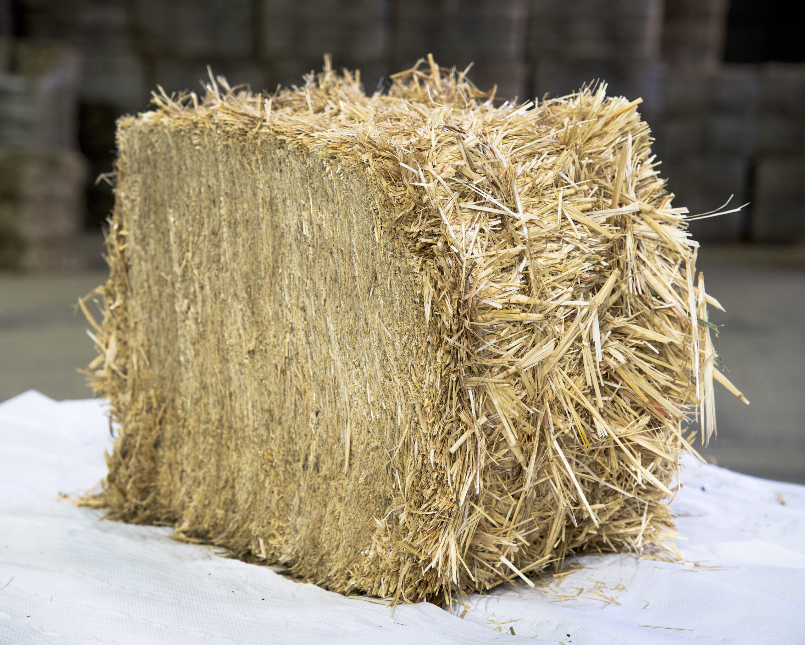 Wheat Straw Hay bales for sale