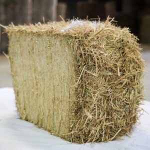 Rice Straw Hay bales for sale