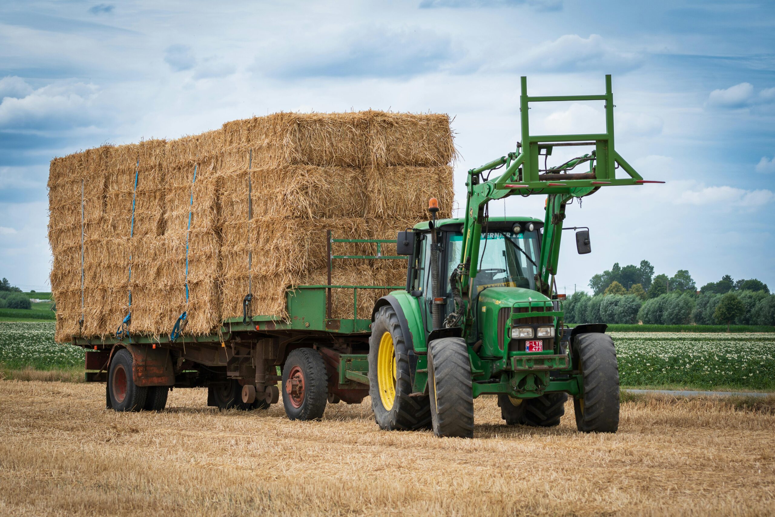 Hay bales for sale