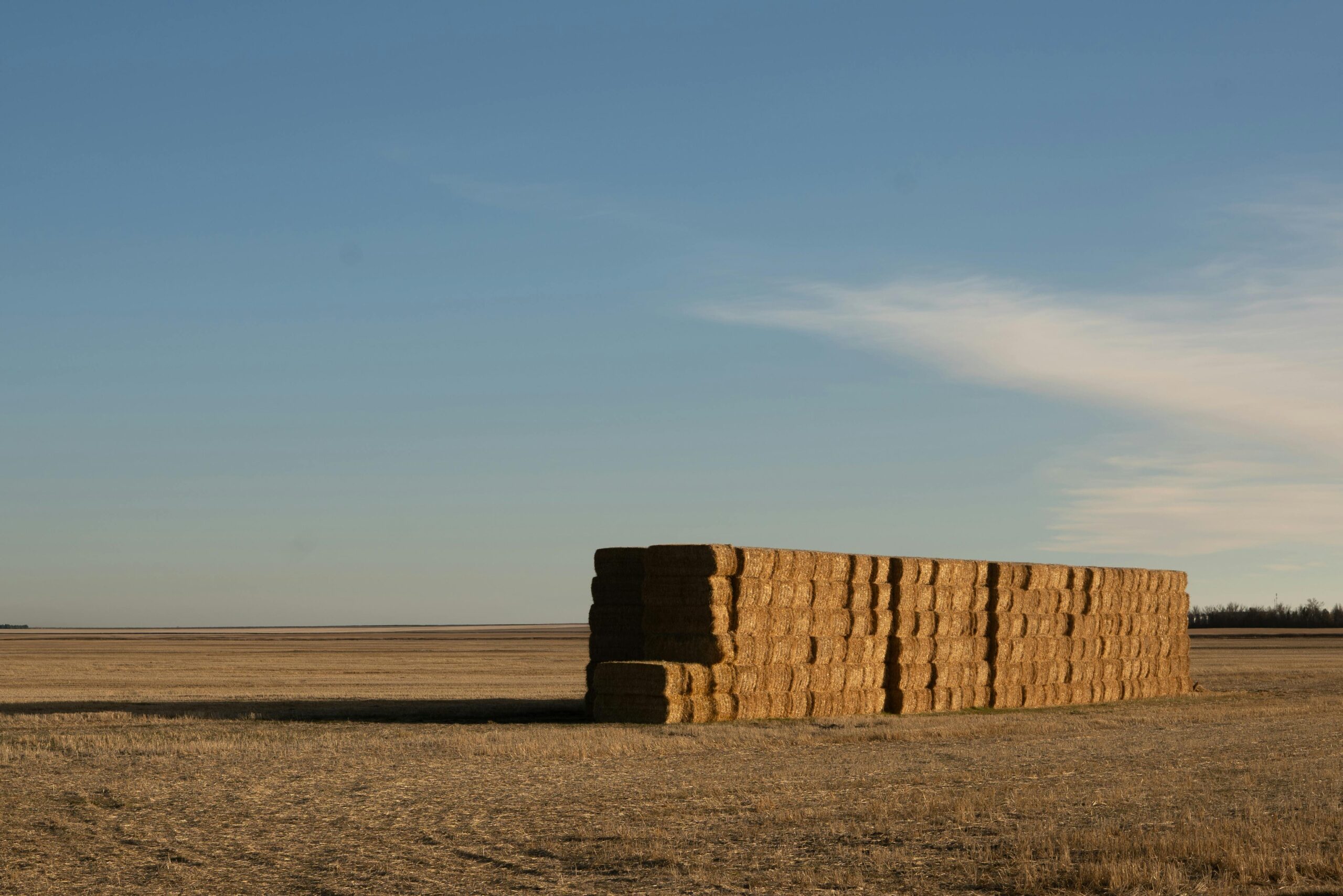 Hay bales for sale