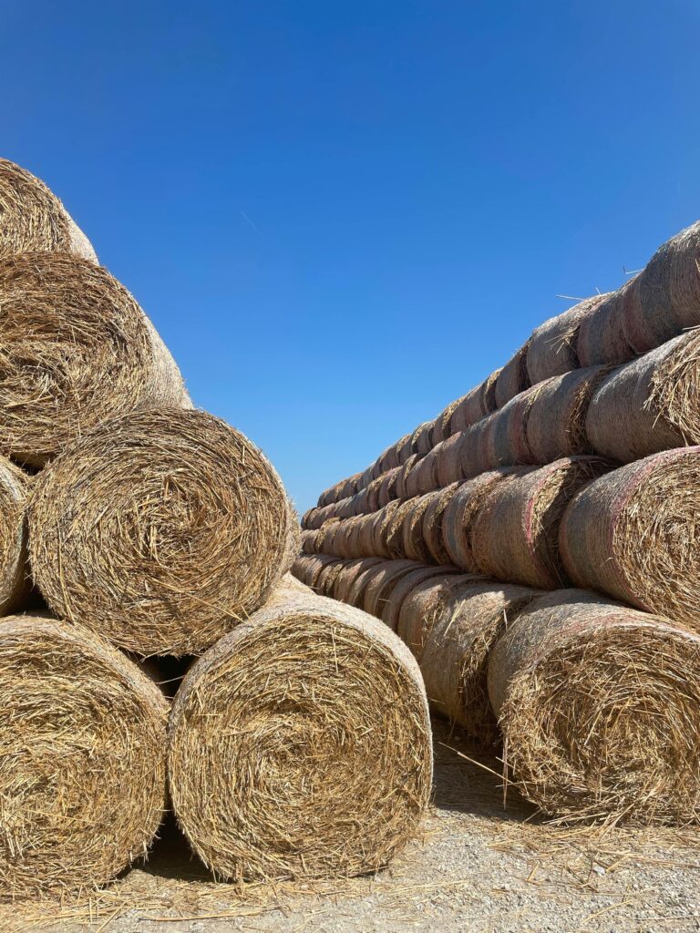 Hay bales for sale
